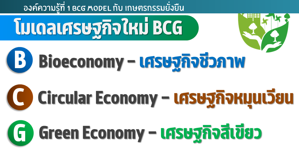 วางแผนก่อนเริ่มต้น...การทำแปลงเกษตร เลือกแนวทางการทำการเกษตร