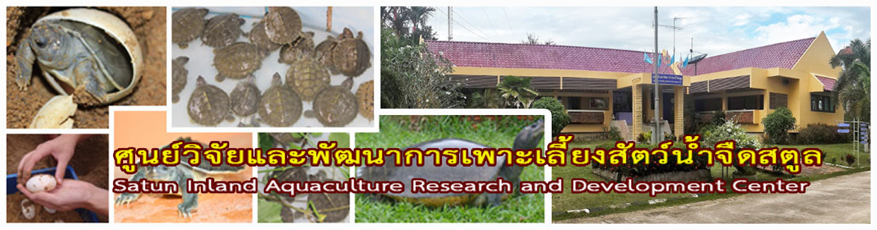 ตัวชี้วัดรายบุคคล ครั้งที่ 1 ปีงบประมาณ 2568..คลิก