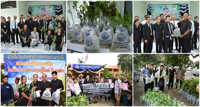 มอบปัจจัยการผลิต โครงการเกษตรทฤษฎีใหม่..คลิก