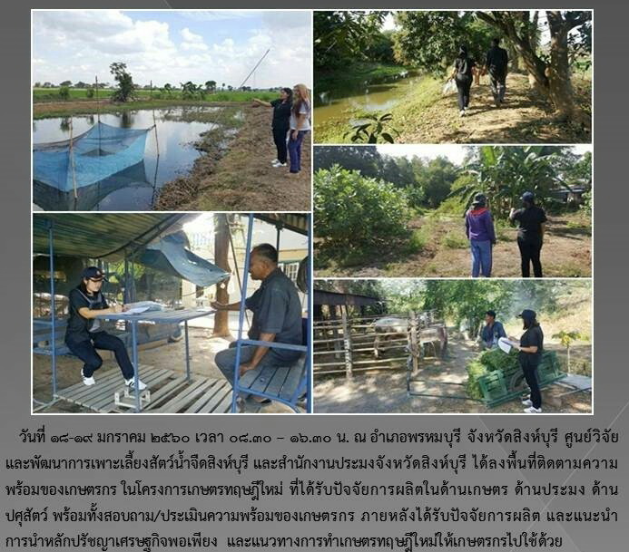 มอบปัจจัยการผลิต โครงการเกษตรทฤษฎีใหม่ อำเภอพรหมบุรี..คลิก