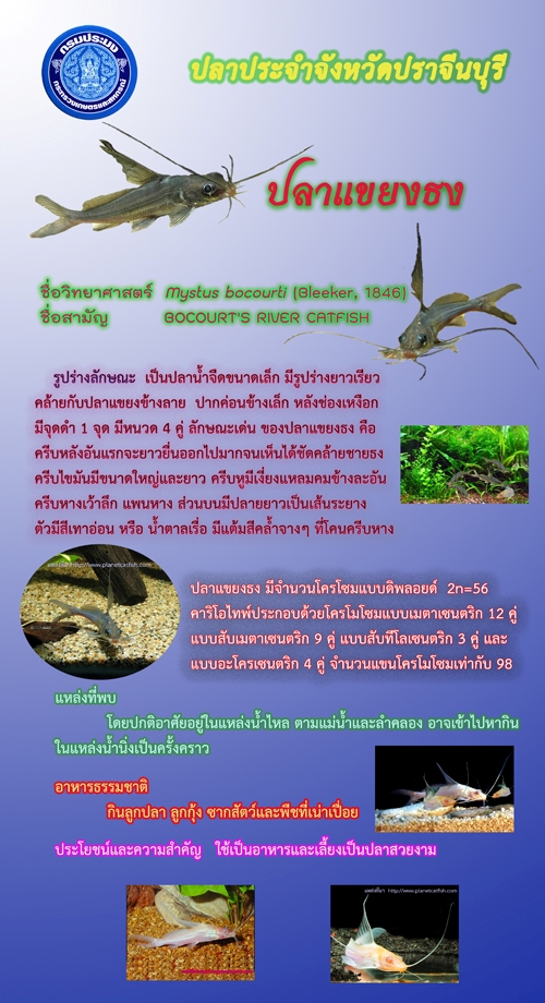 ปลาประจำหน่วยงาน..คลิก