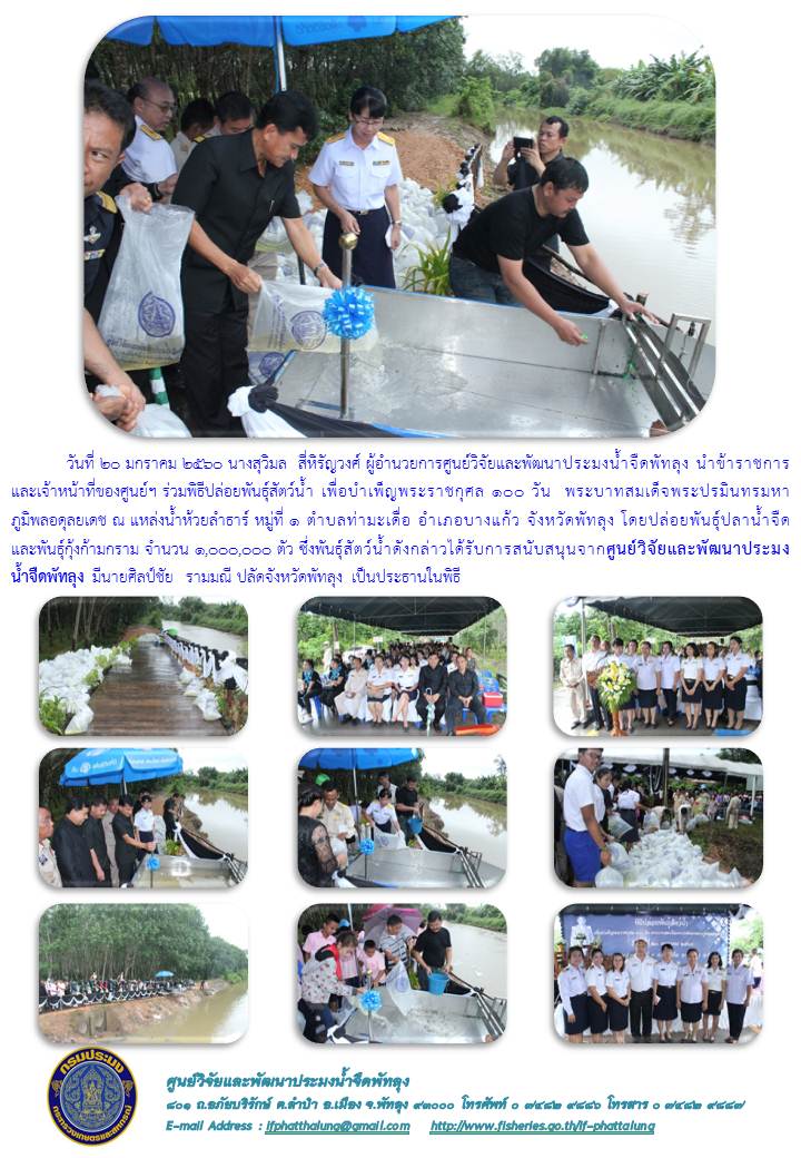 ศปจ.พัทลุง สนับสนุนพันธุ์สัตว์น้ำ เพื่อบำเพ็ญพระราชกุศล..คลิก
