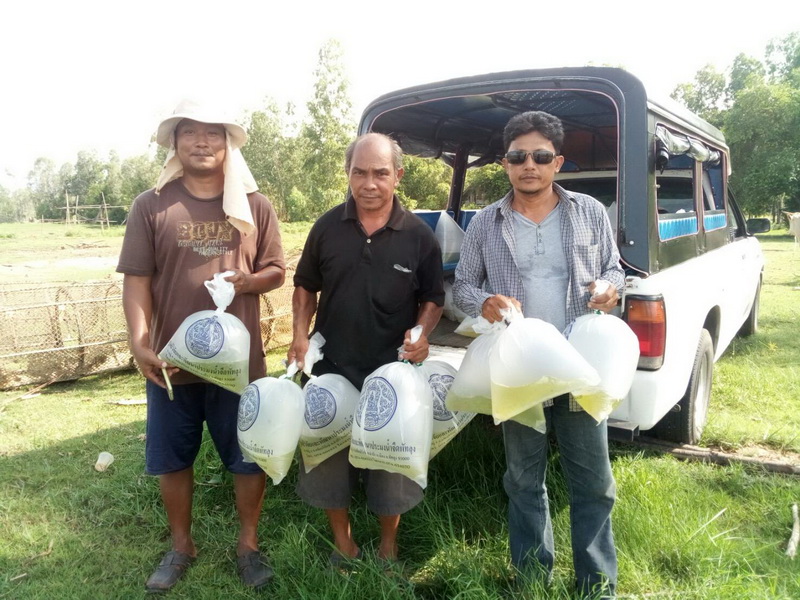 ศปจ.พัทลุง ปล่อยพันธุ์กุ้งก้ามกรามลงสู่แหล่งน้ำธรรมชาติ..คลิก