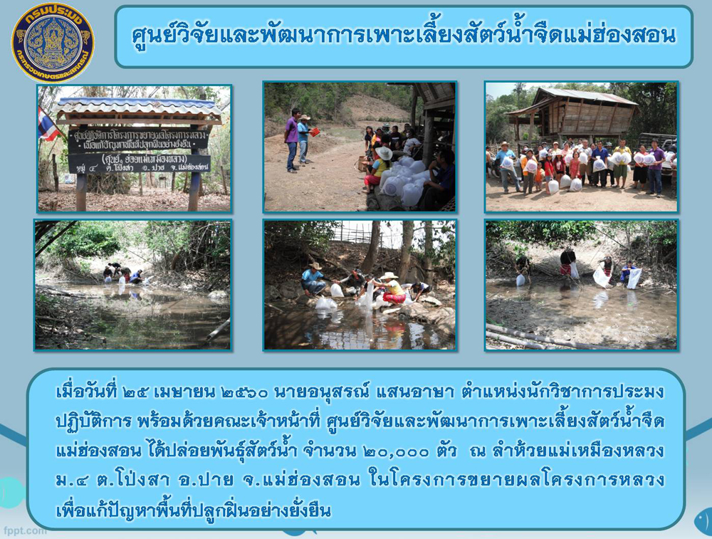 กิจกรรมปล่อยพันธุ์สัตว์น้ำจำนวน 20,000 ตัว  ในพื้นที่อำเภอปาย จังหวัดแม่ฮ่องสอน..คลิก
