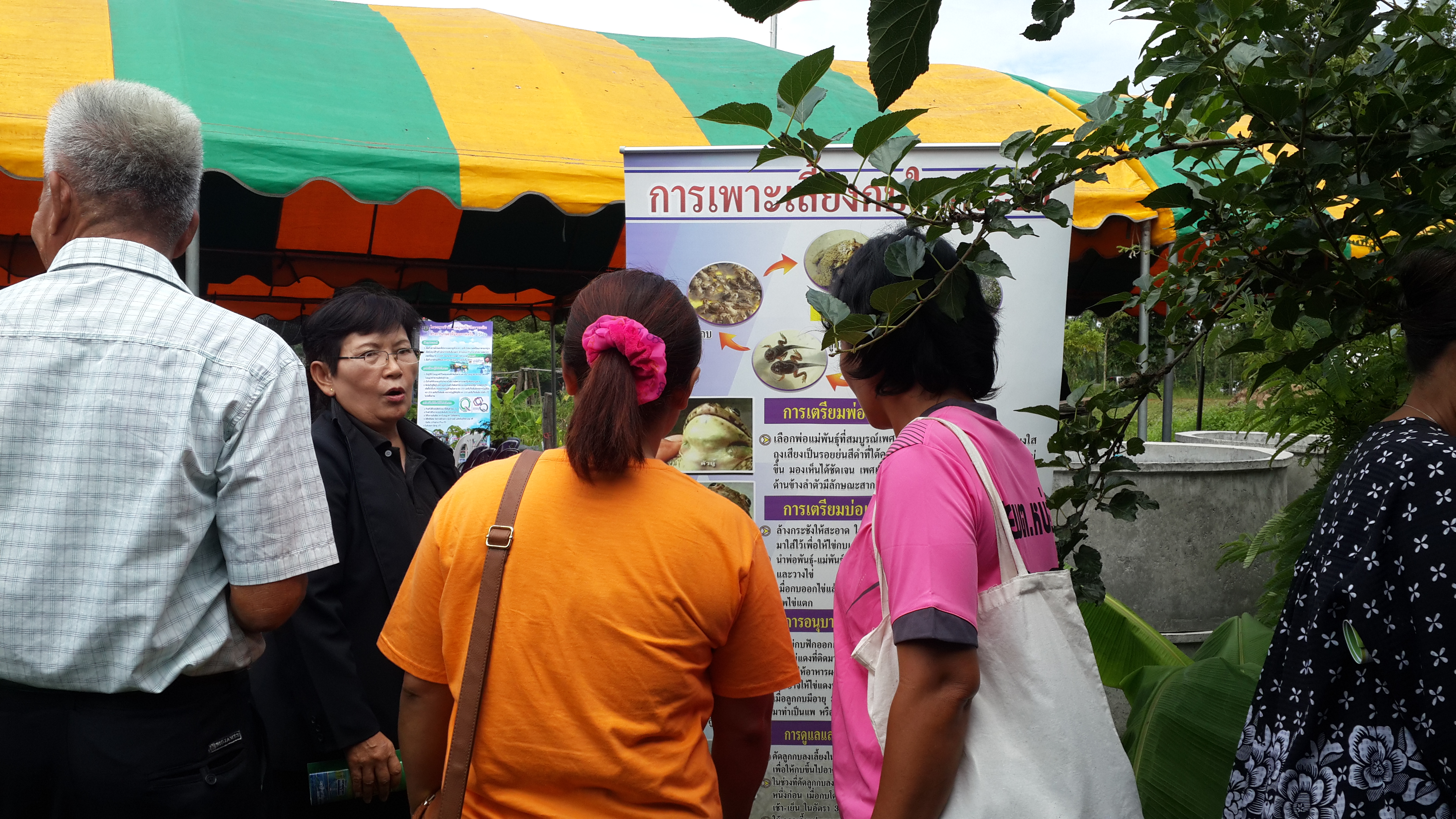 งานวันfield day ศพก.โคกศรีสุพรรณและศพก.เต่างอย