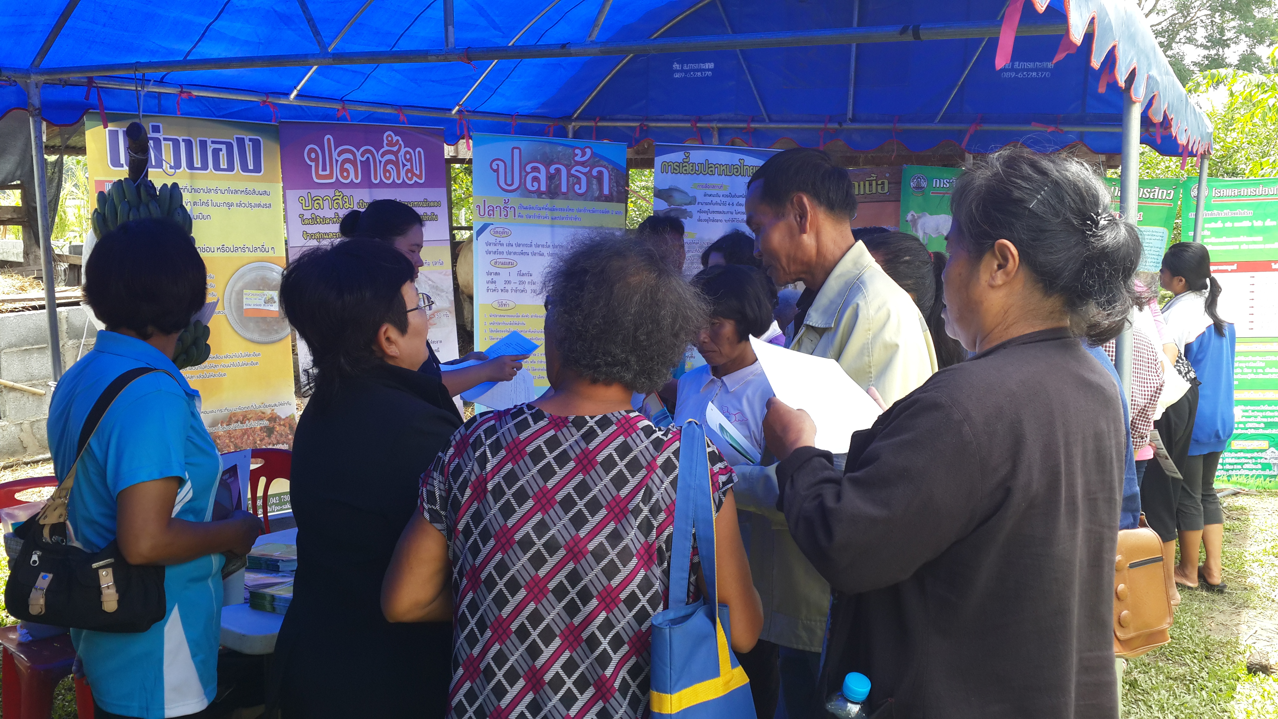 งานวันfield day ศพก.โคกศรีสุพรรณและศพก.เต่างอย..คลิก