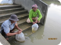 ปล่อยกุ้งก้ามกรามงานวิจัย ครั้งที่ 8..คลิก