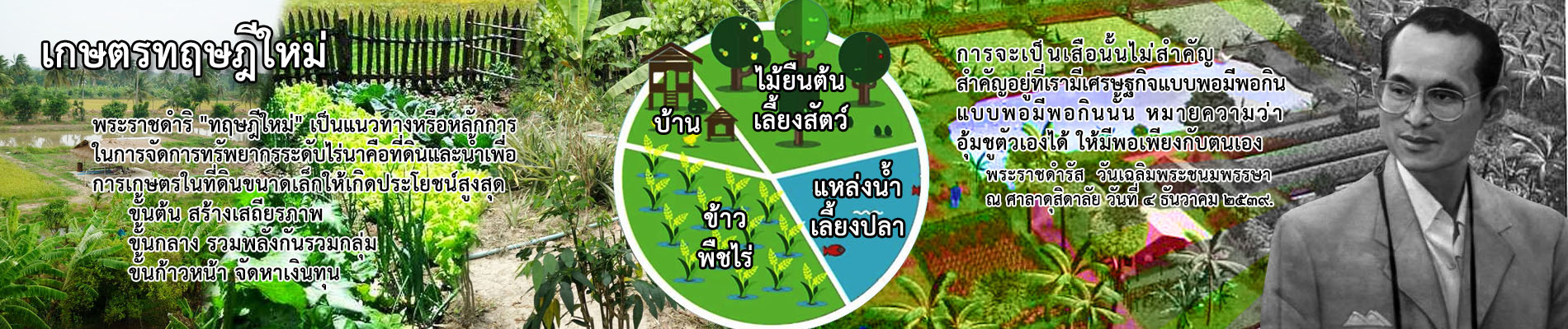 สไลด์โชว์ ร.9