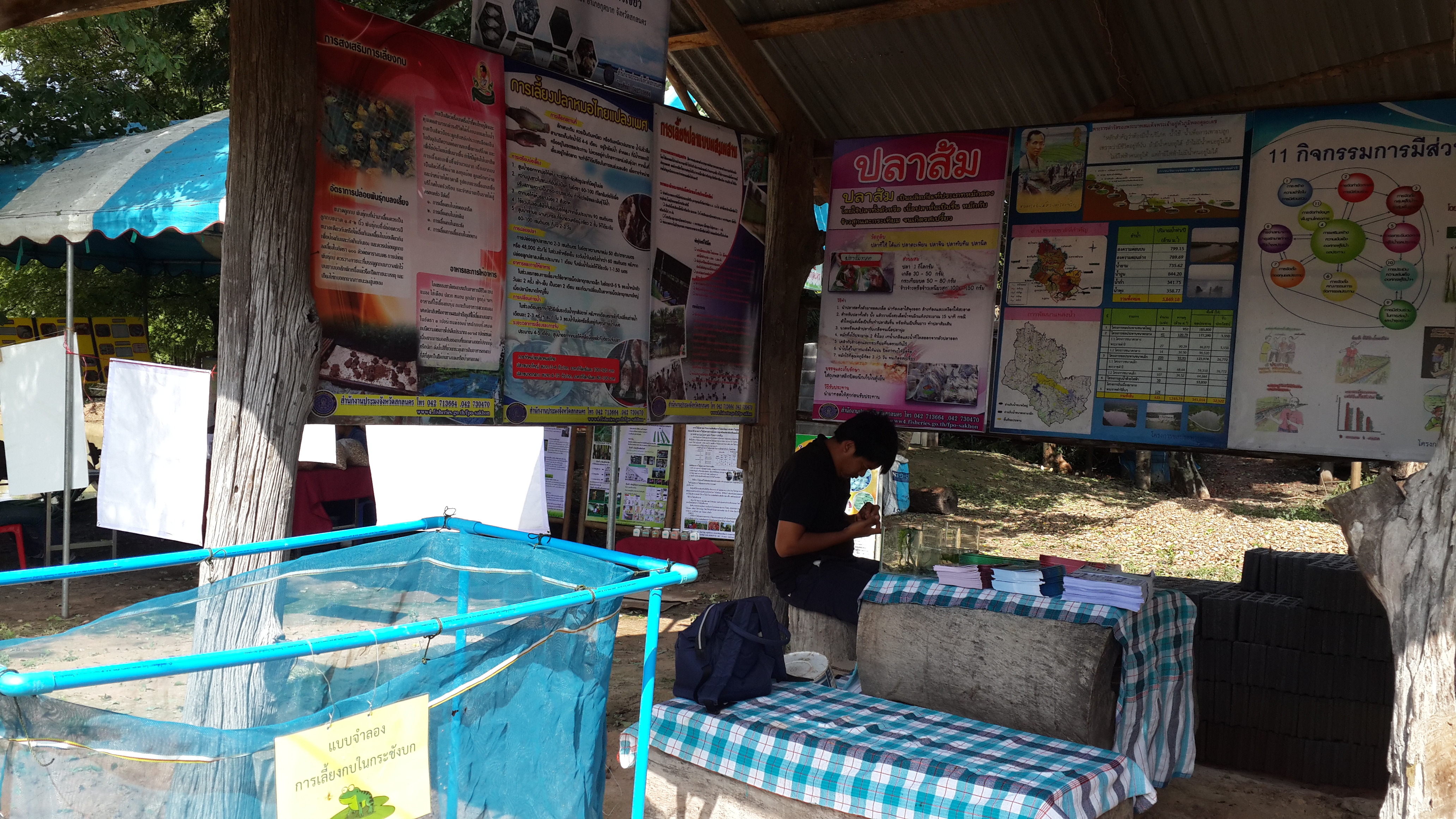 งานวันfield day ศพก.กุดบาก
