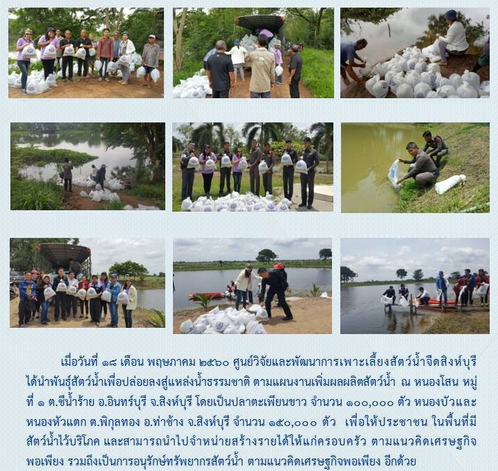 ปล่อยพันธุ์สัตว์น้ำ ตามแผนงานเพิ่มผลผลิตสัตว์น้ำ หนองโสน ตำบลชีน้ำร้าย อำเภออินทร์บุรี จังหวัดสิงห์บุรี..คลิก