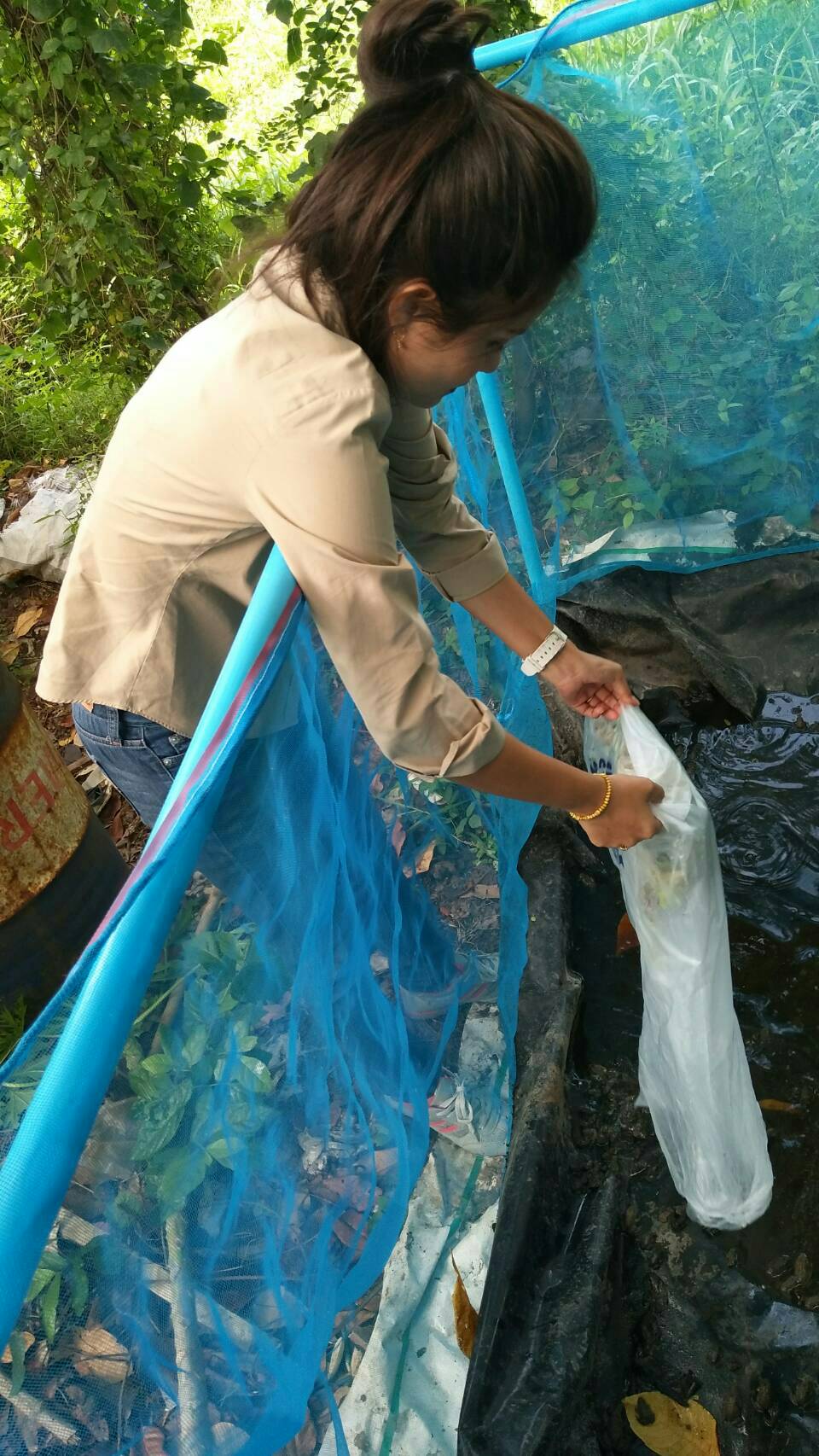 ส่งมอบพันธุ์กบนา ให้กับประธานศูนย์เรียนรู้การเพิ่มประสิทธิภาพการผลิตสินค้าเกษตร(ศพก.)..คลิก