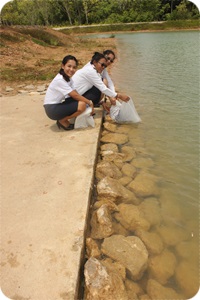 คลินิกเกษตรเคลื่อนที่ในพระบรมราชานุเคราะห์ฯ..คลิก