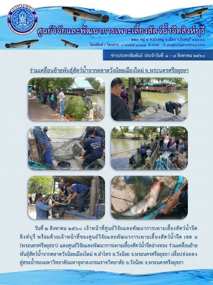 ร่วมเคลื่อนย้ายพันธุ์สัตว์น้ำจากตลาดวังน้อยเมืองใหม่ จังหวัดพระนครศรีอยุธยา..คลิก