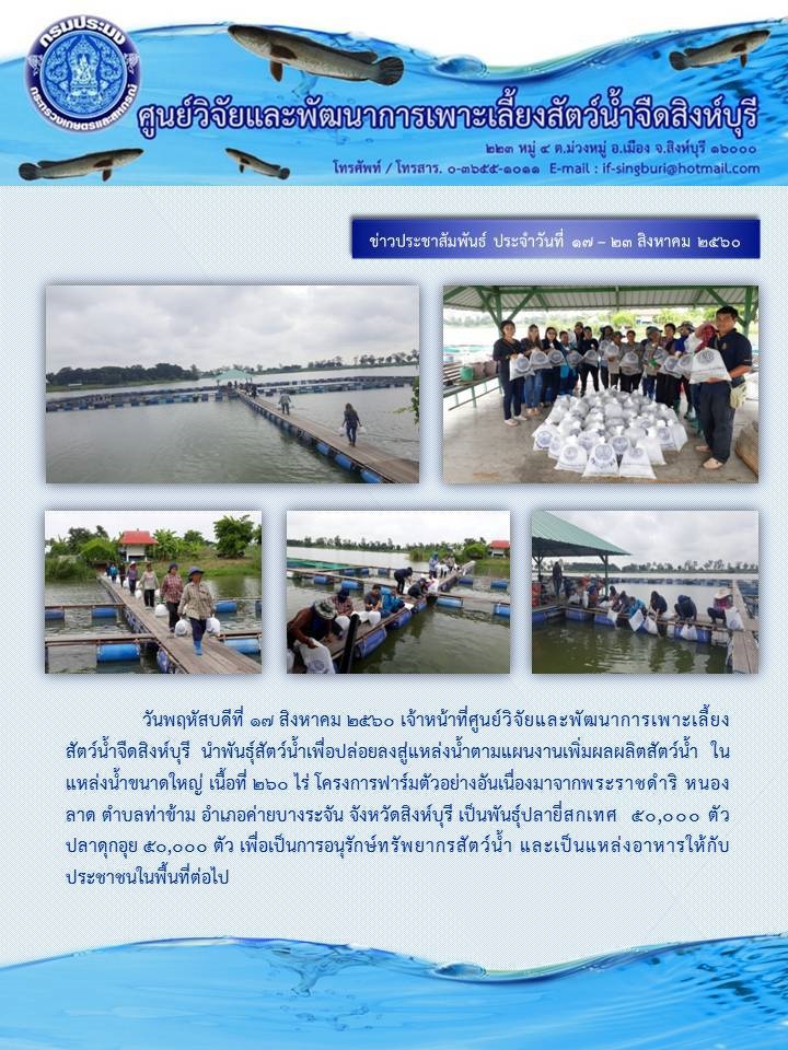 ศูนย์วิจัยและพัฒนาการเพาะเลี้ยงสัตว์น้ำจืดสิงห์บุรี นำพันธุ์สัตว์น้ำปล่อยสู่แหล่งน้ำตามแผนงานเพิ่มผลผลิตสัตว์น้ำ..คลิก