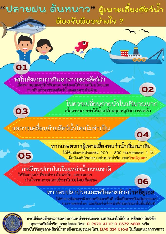 การเตรียมรับมือในการเลี้ยงสัตว์นำ้ ในช่วงปลายฝนต้นหนาว..คลิก