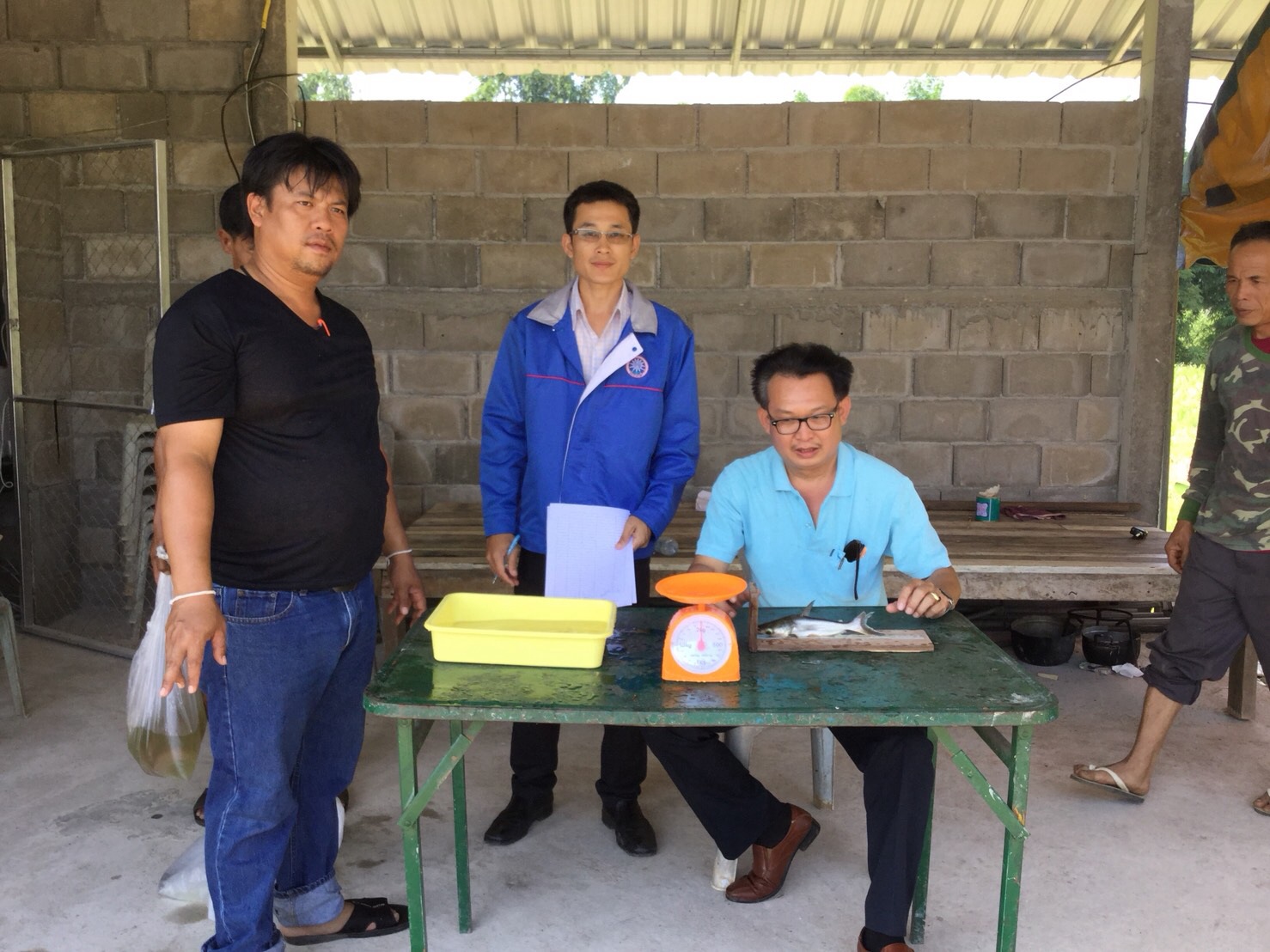 สำนักงานประมงจังหวัดลำพูน ประมงอำเภอลี้ ปล่อยพันธุ์ปลาบึกจำนวน ๕๕ ตัว และปลานิลแดงจำนวน ๘๐ ตัว ในโครงการธนาคารผลผลิต..คลิก