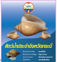 สัตว์น้ำประจำจังหวัดกระบี่..คลิก