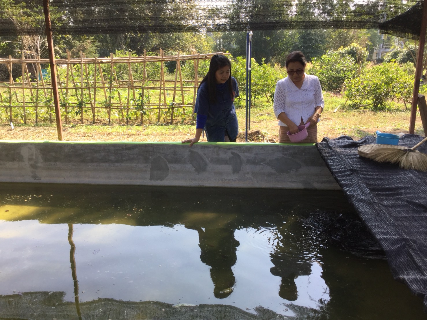 สำนักงานประมงจังหวัดลำพูน ร่วมกับประมงอำเภอป่าซาง ตรวจเยี่ยมฟาร์มเพาะเลี้ยงกุ้งก้ามแดง..คลิก