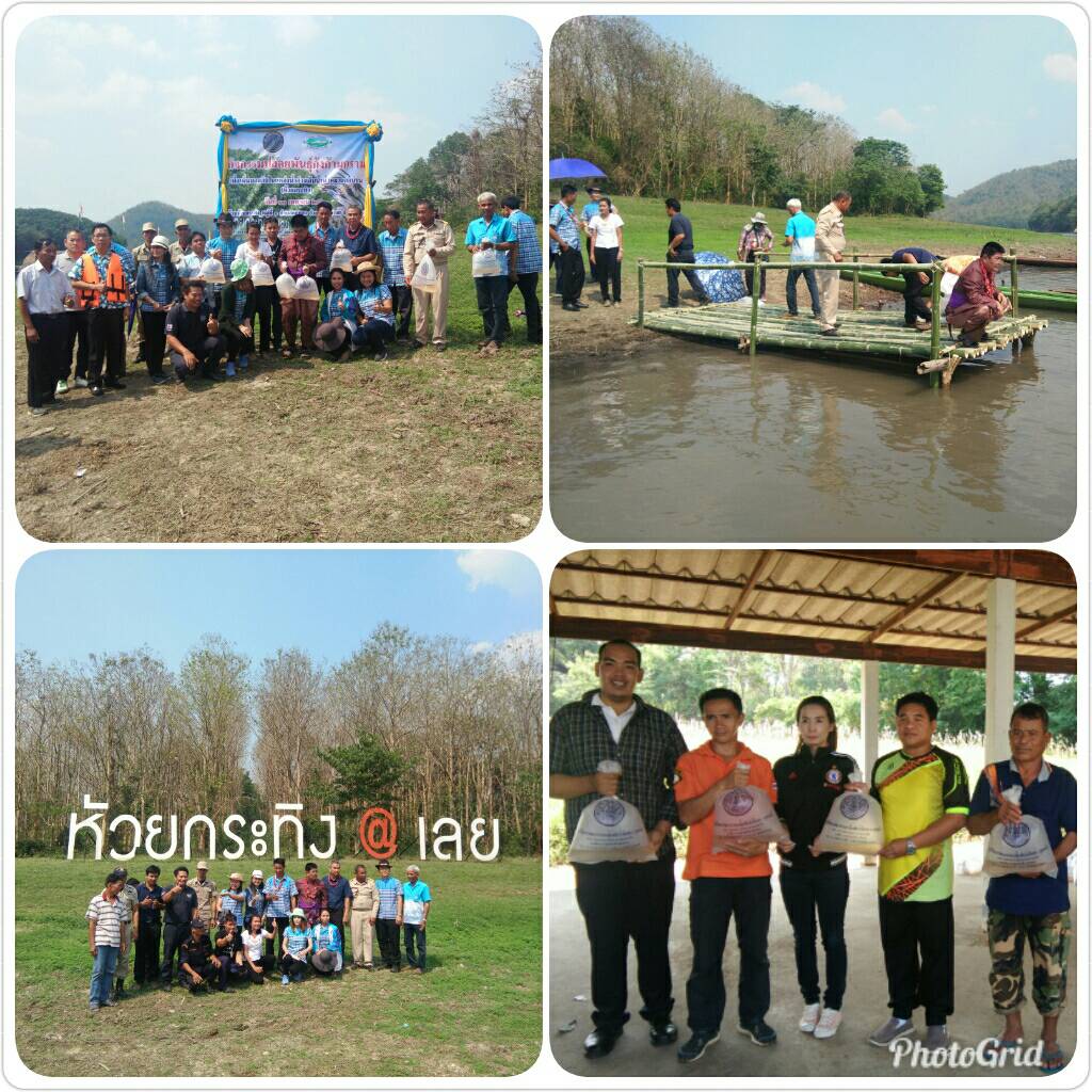 ปล่อยกุ้งก้ามกราม เพื่อเพิ่มผลผลิตในแหล่งน้ำอ่างเก็บน้ำหมานตอนบน (ห้วยกระทิง)