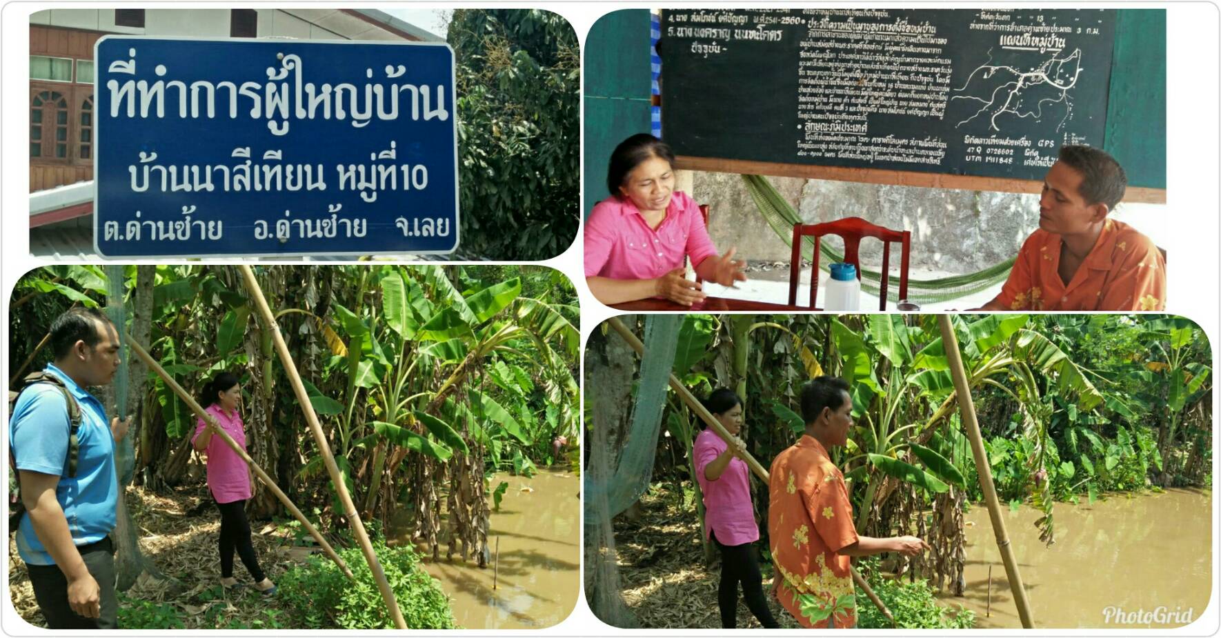 ติดตามคัดเลือกเกษตรกรเข้าร่วมโครงการศูนย์พัฒนาปศุสัตว์ตามพระราชดำริ อำเภอด่านซ้าย