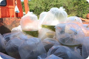 โครงการส่งเสริมเกษตรทฤษฎีใหม่ ประจำปีงบประมาณ 2561..คลิก