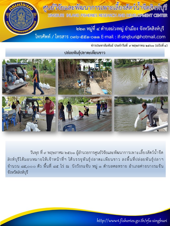 ปล่อยพันธุ์สัตว์น้ำ ณ บึงวังกะจับ หมู่ 1 ตำบลคอทราย อำเภอค่ายบางระจัน จังหวัดสิงห์บุรี..คลิก