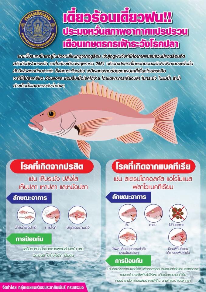 ข่าวประชาสัมพันธ์..คลิก