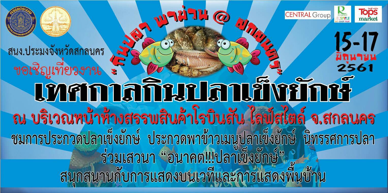 เทศกาลกินปลาเข็งยักษ์ 2561..คลิก