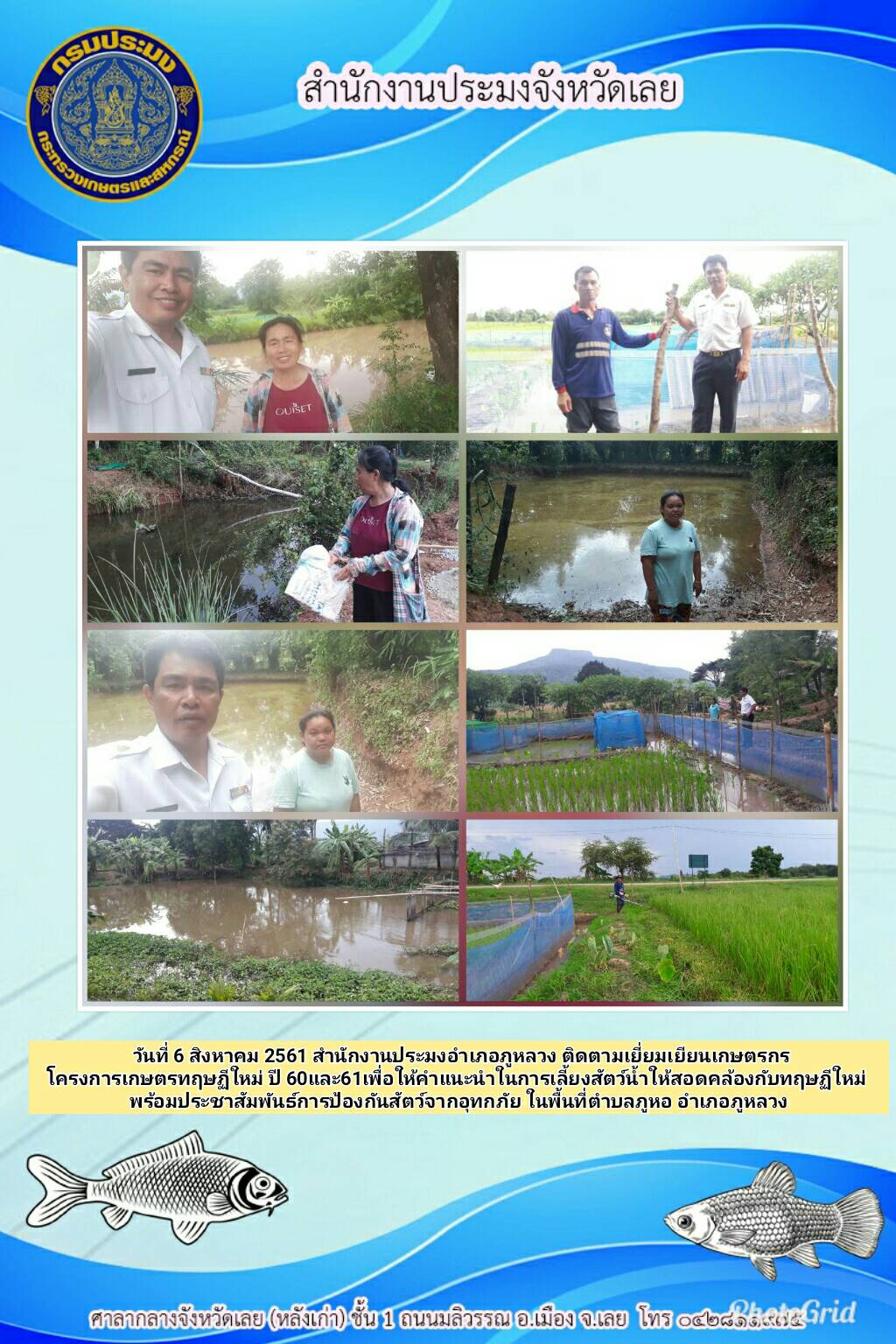 โครงการเกษตรทฤษฎีใหม่ ปี 2560 และ ปี 2561 อำเภอภูหลวง