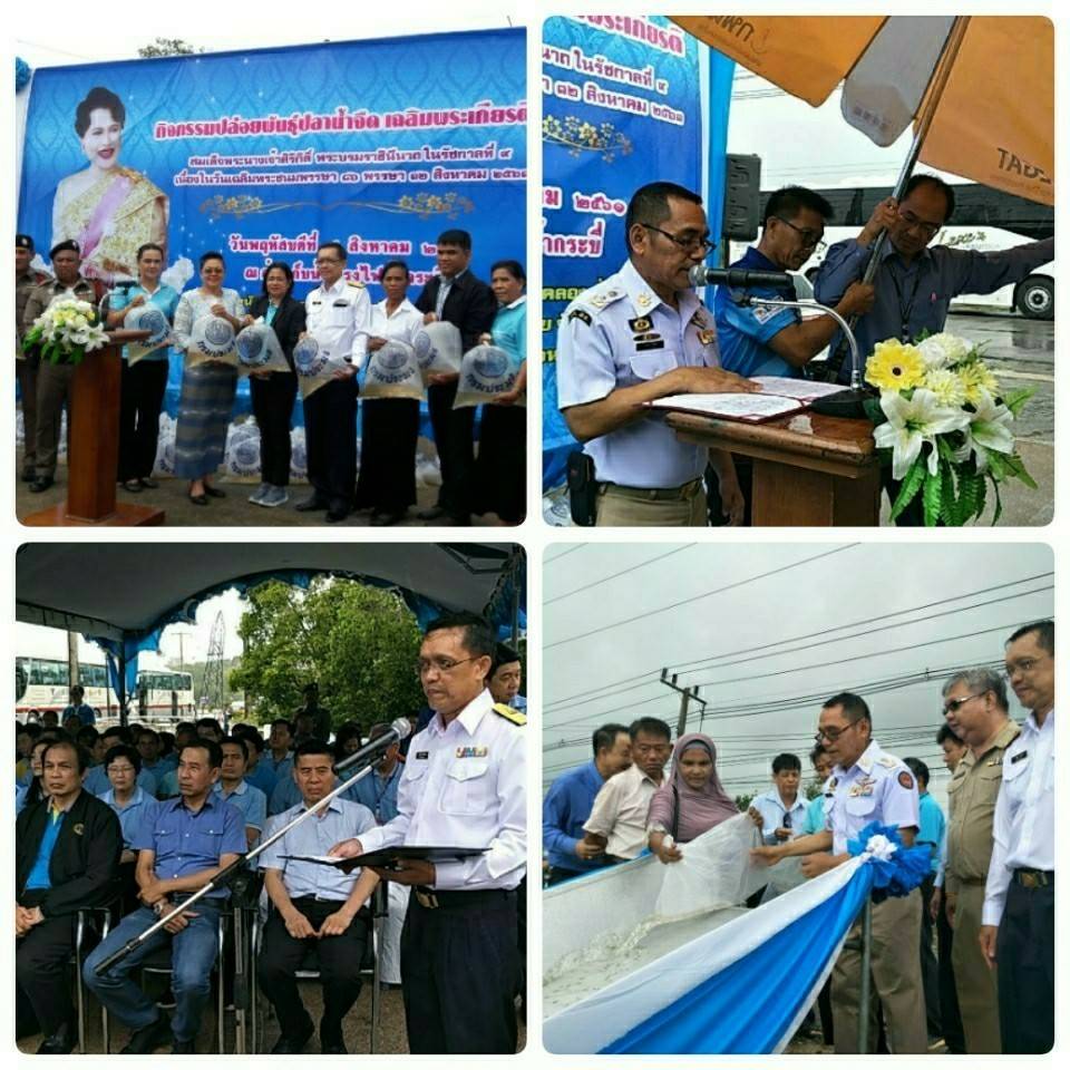 กิจกรรมปล่อยพันธุ์สัตว์น้ำ..คลิก