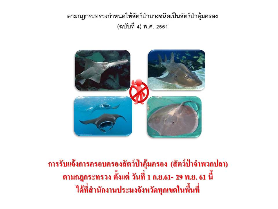 สัตว์ป่าคุ้มครอง..คลิก