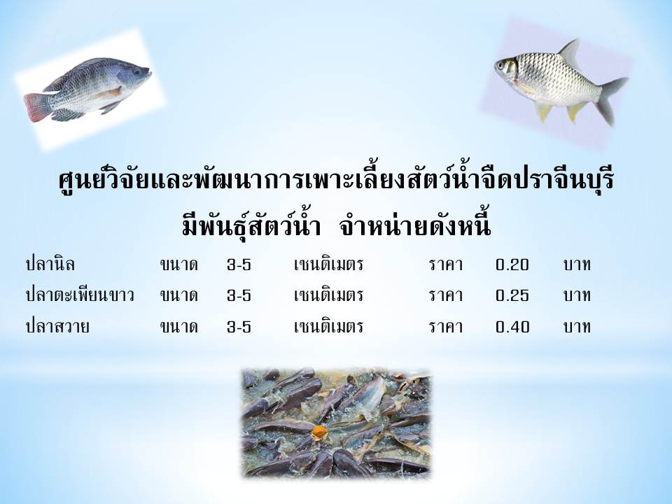 จำหน่ายพันธุ์สัตว์น้ำ..คลิก
