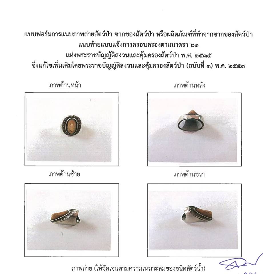 แจ้งการครอบครองสัตว์ป่าคุ้มครองชั่วคราว ซากของสัตว์ป่าคุ้มครอง หรือผลิตภัณฑ์ที่ทำมาจากซากของสัตว์ป่าคุ้มครอง ตั้งแต่วันที่ 1 กันยายน 2561 ถึงวันที่ 29 พฤศจิกายน 2561..คลิก