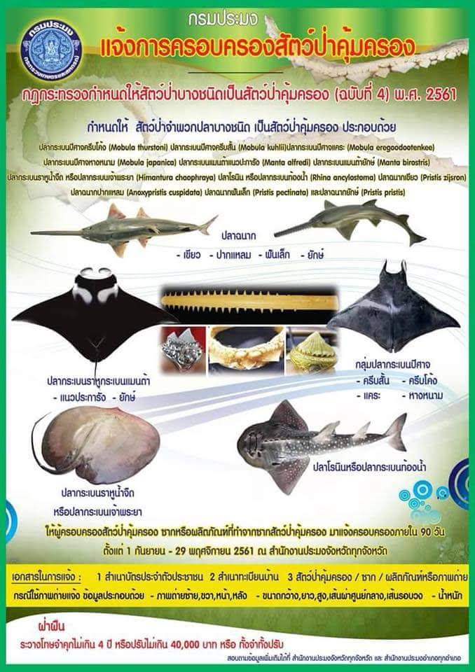 ประชาสัมพันธ์ การแจ้งการคุ้มครองสัตว์ป่าคุ้มครอง กฎกระทรวงกำหนดให้สัตว์ป่าบางชนิดเป็นสัตว์ป่าคุ้มครอง (ฉบับที่ 4) พ.ศ.2561..คลิก