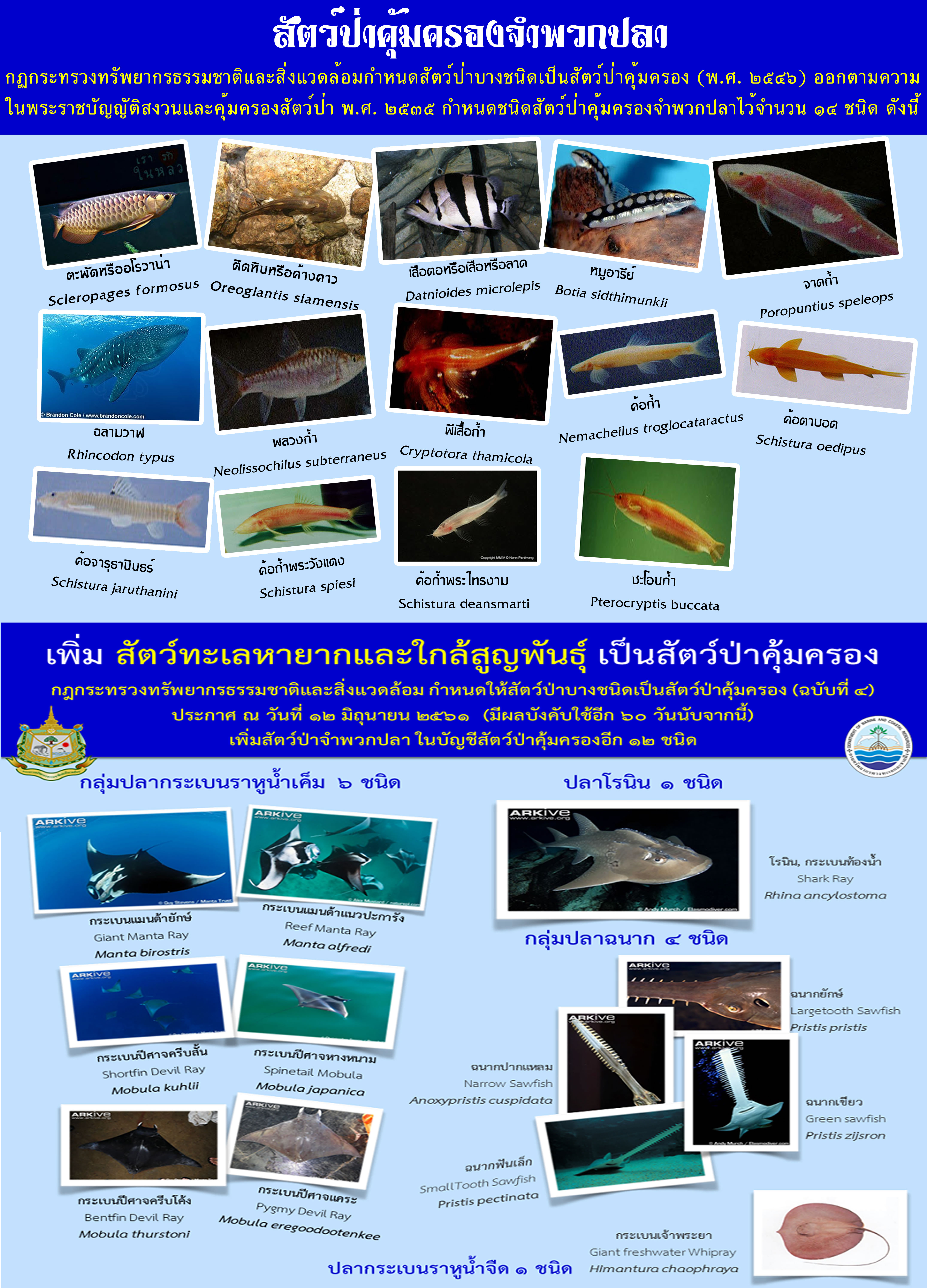 สัตว์ป่าคุ้มครองจำพวกปลา..คลิก