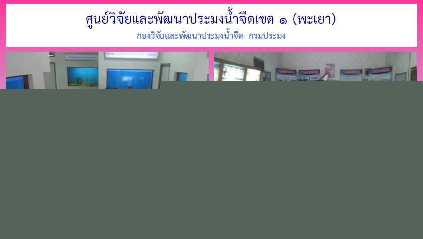 ศึกษาดูงาน..คลิก