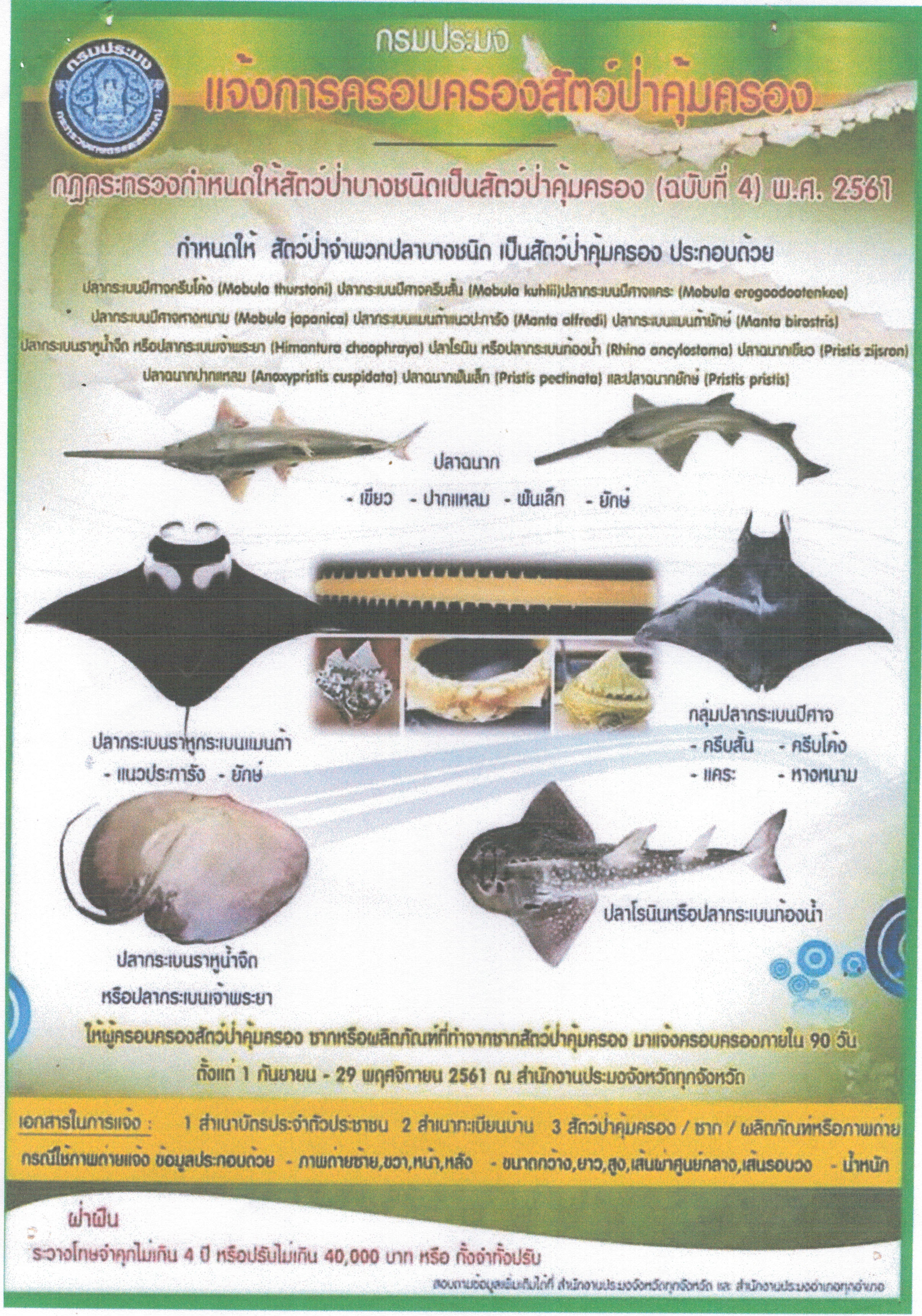 ผู้ที่ต้องมาแจ้งครอบครองสัตว์ป่าคุ้มครองชั่วคราว..คลิก