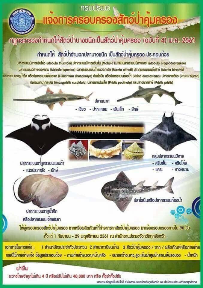 ประชาสัมพันธ์การแจ้งการครอบครองสัตว์ป่าคุ้มครอง