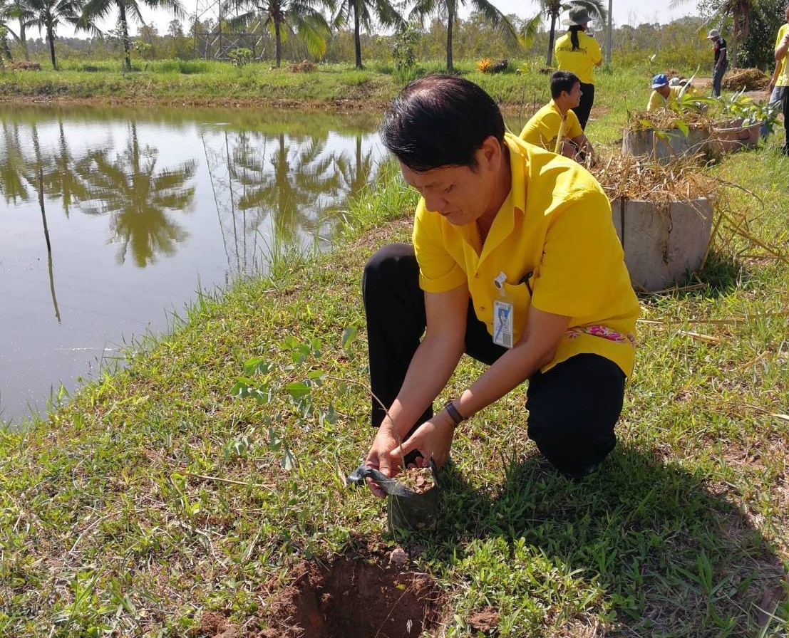งานวันรักษ์ต้นไม้แห่งชาติ ประจำปี 2561..คลิก