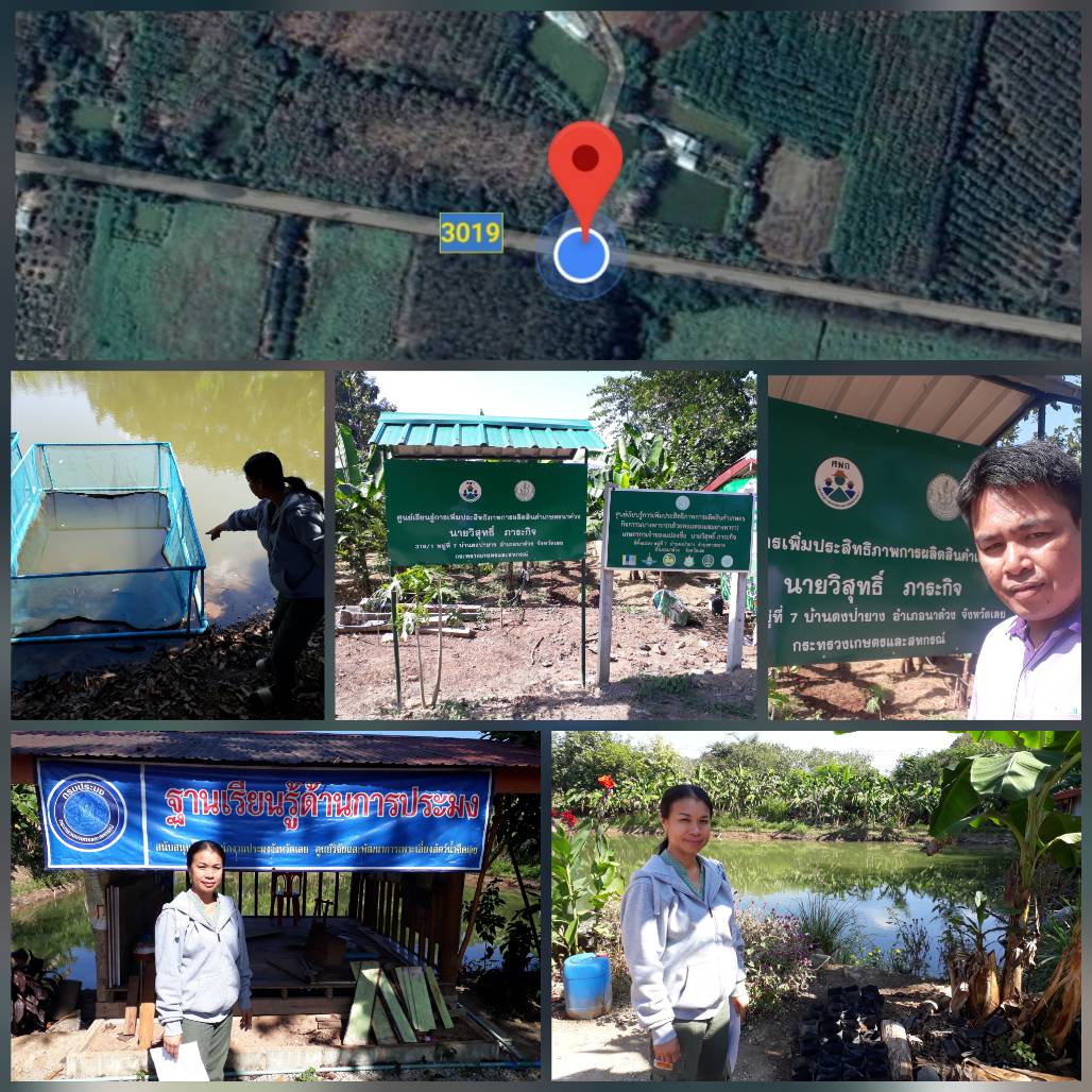 โครงการทฤษฎีใหม่ ปี 2561 อำเภอนาด้วง..คลิก