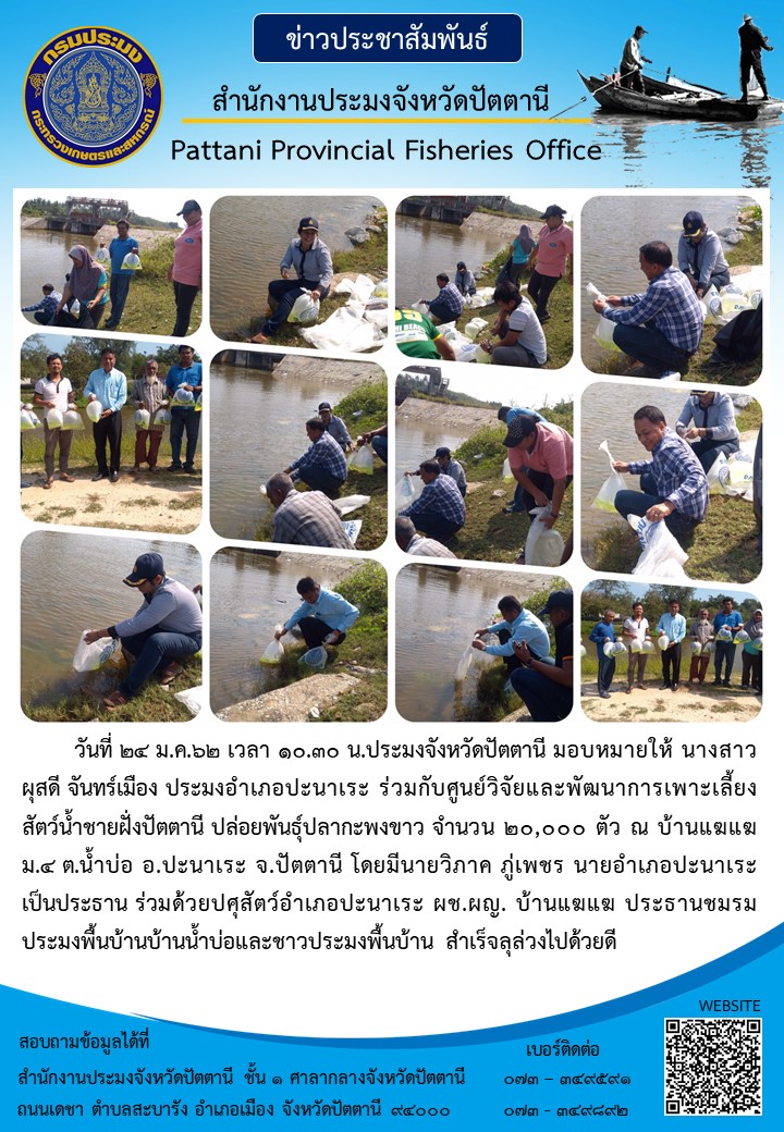 สำนักงานประมงอำเภอปะนาเระ..คลิก