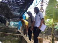 โครงการจัดระบบการเพาะเลี้ยงสัตว์น้ำควบคุมประจำปีงบประมาณ 2562