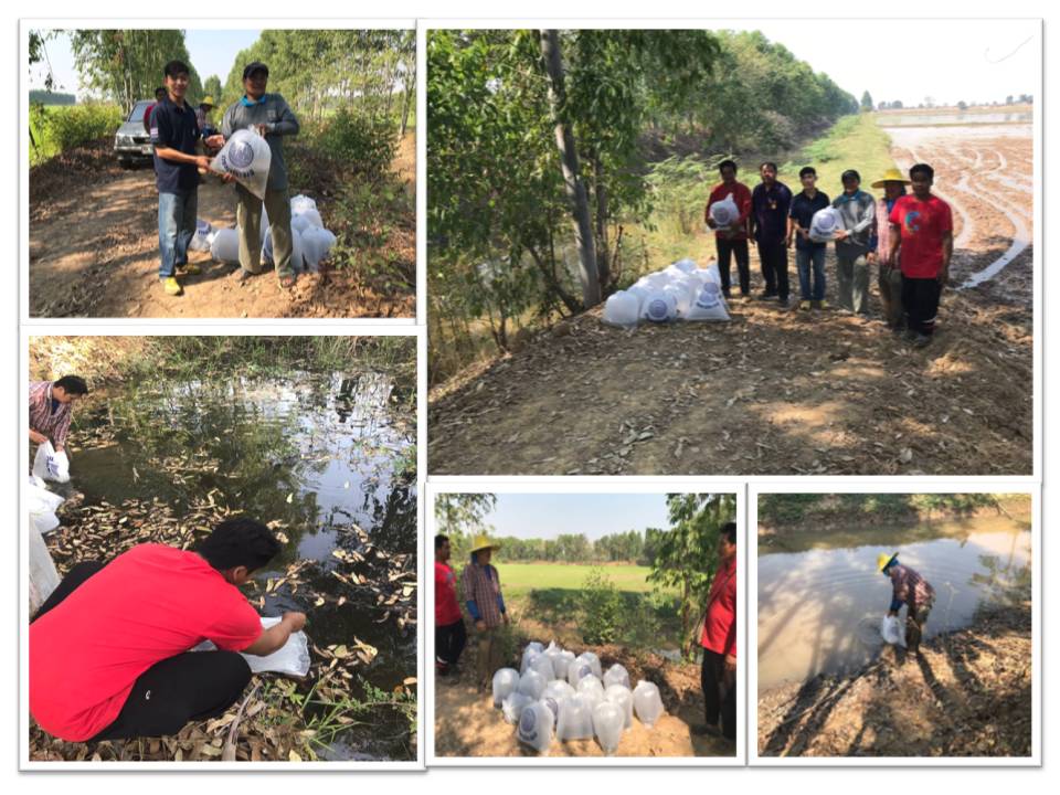 วันที่ 29 มกราคม 2562..คลิก