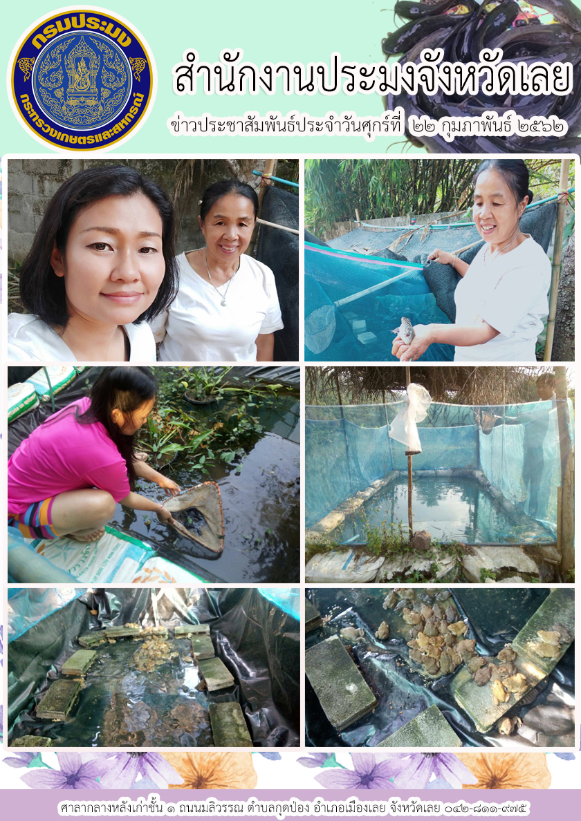 โครงการไทยนิยม ยั่งยืน กิจกรรมเพิ่มทักษะอาชีพแก่ผู้ถือบัตรสวัสดิการแห่งรัฐ (ภาคการประมง) อำเภอเมืองเลย