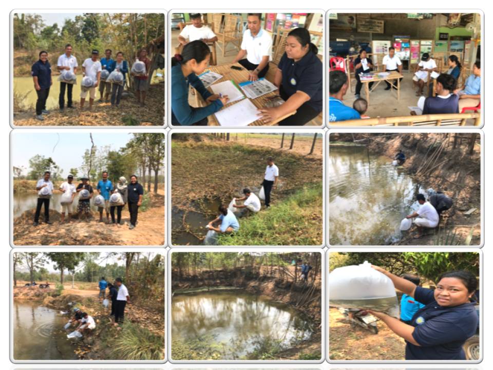 วันที่ 13 กุมภาพันธ์ 2562..คลิก