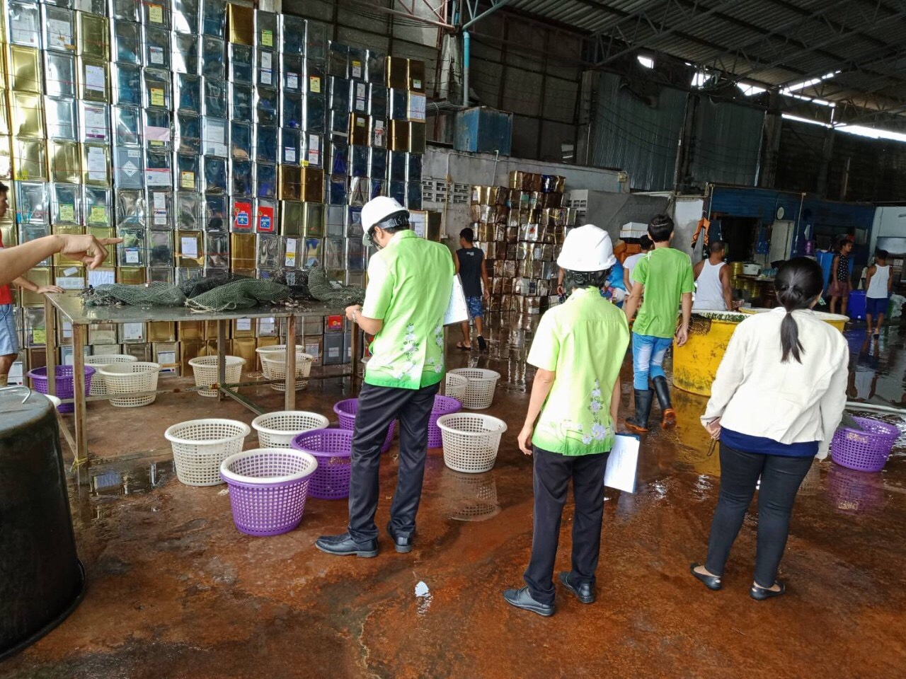 บูรณาการตรวจสถานประกอบการแปรรูปสัตว์น้ำ ตามคำสั่งจ.ระนอง..คลิก