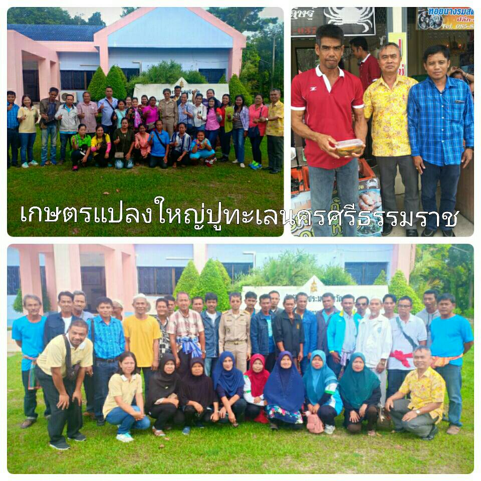 เข้าฝึกอบรมและศึกษาดูงานการบริหารจัดการแปลงใหญ่ปูทะเล..คลิก