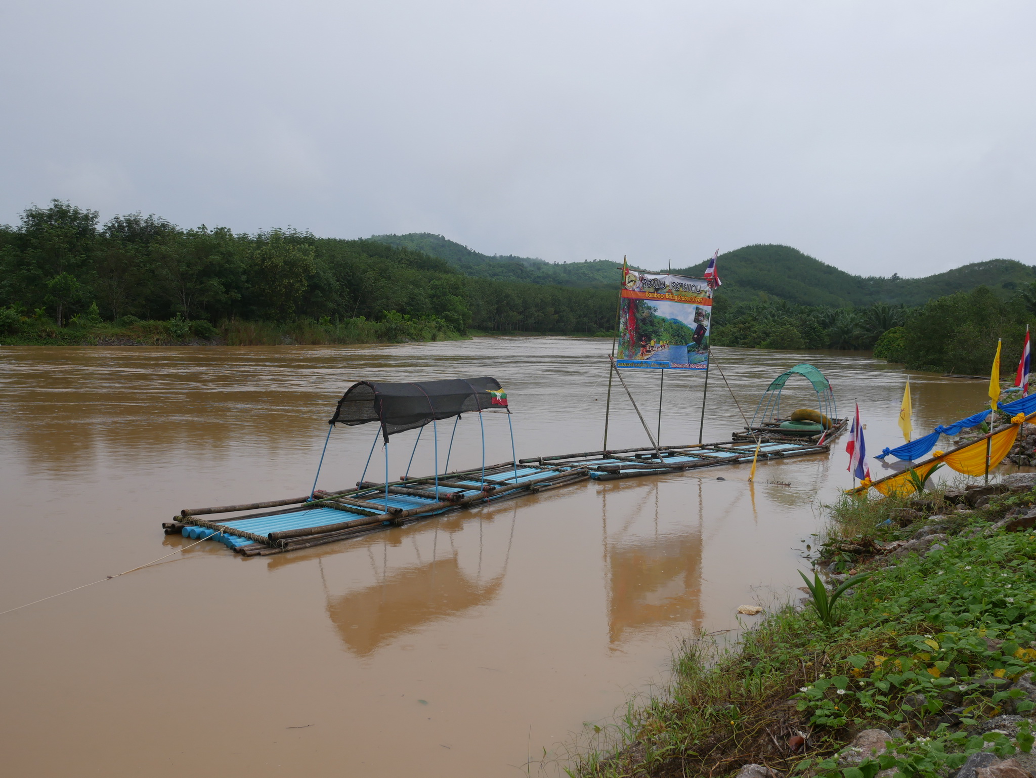 จังหวัดระนองจัดปล่อยพันธุ์สัตว์น้ำ เนื่องในวันประมงแห่งชาติ ประจำปี 62..คลิก