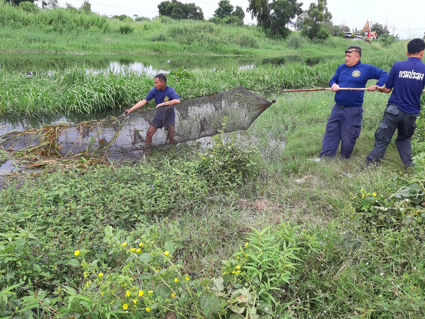 คุมเข้มฤดูปลาวางไข่..คลิก