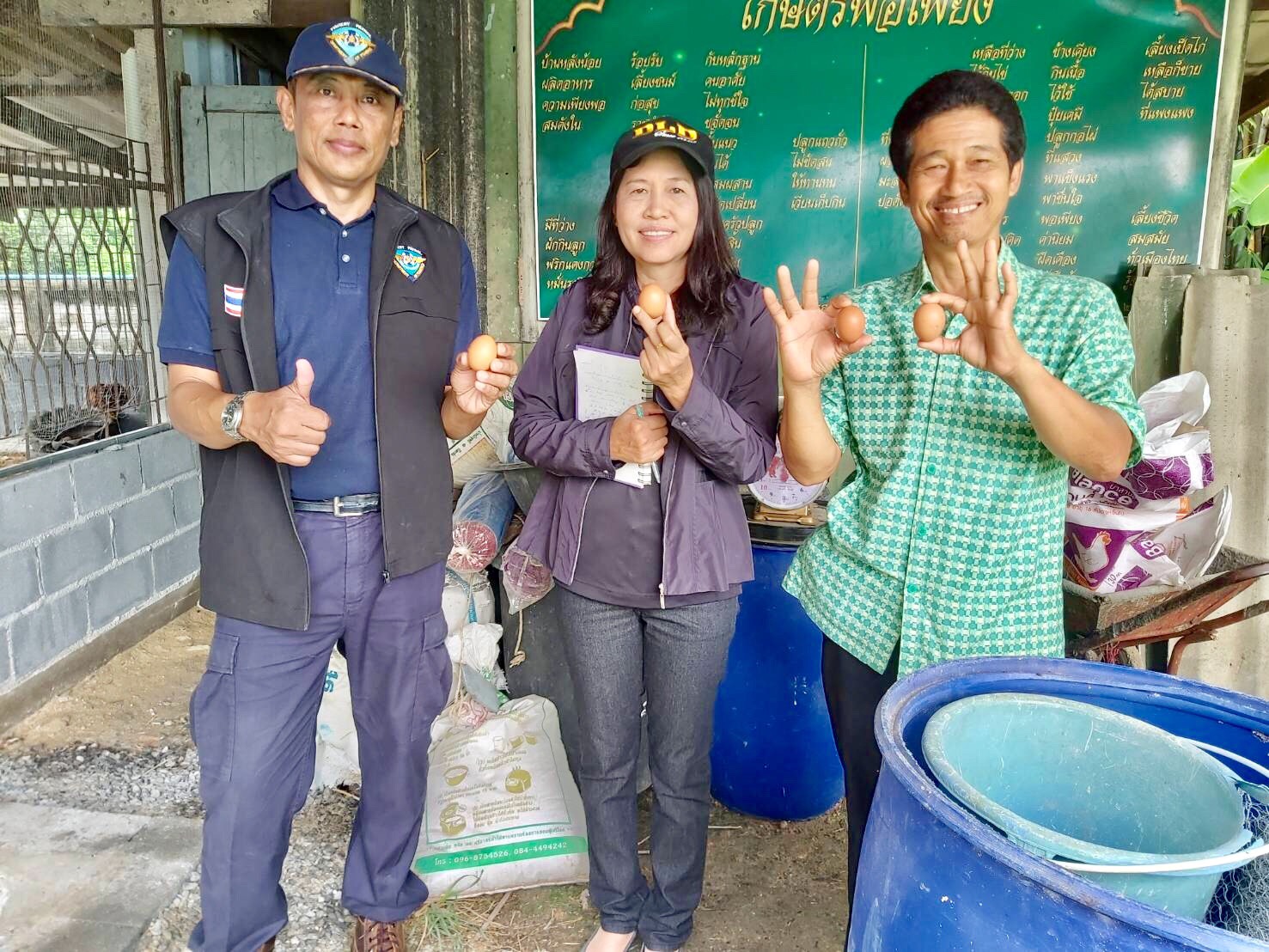 โครงการโรงเรียนอาหารกลางวัน..คลิก